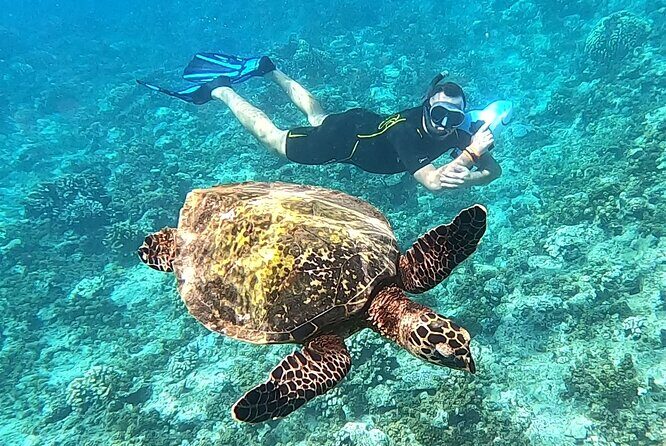Diving day - Who this is best for (and who should choose another option)
