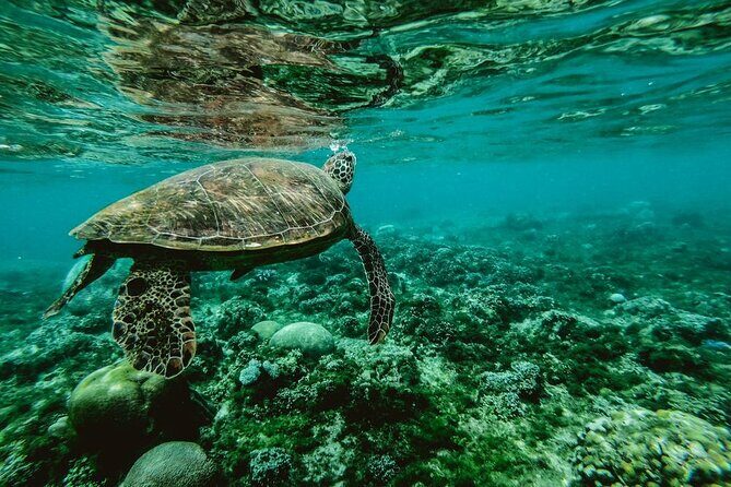 Diving initiation - The instructor and staff experience: where the lesson gets personal