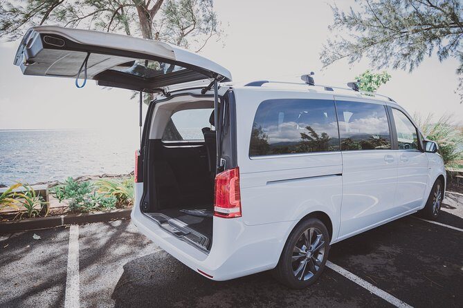 Domestic private transfer, arrival departure, airport hotel cruise rental - Key Highlights You’ll Actually Care About