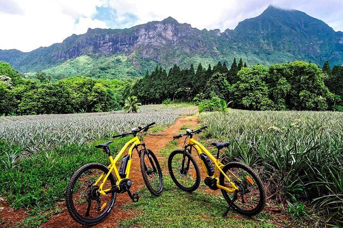 E-Bike Moorea Electric Bike Rental Moorea - Riding Moorea Your Way: Electric Freedom in 4–8 Hours