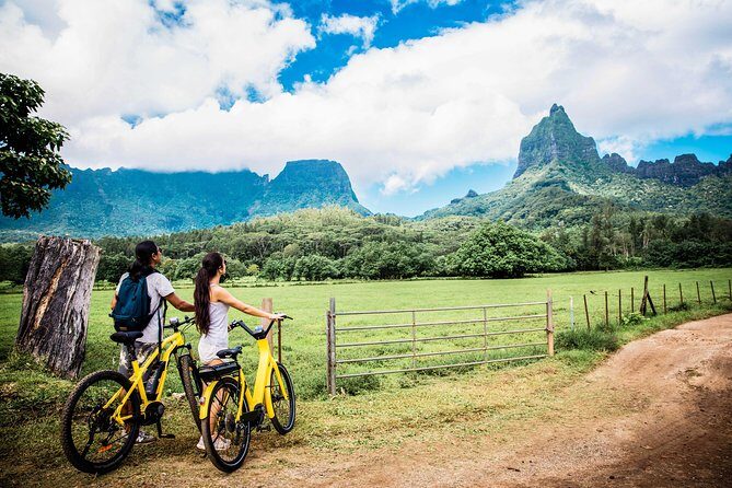 E-Bike Moorea Electric Bike Rental Moorea - Island Route Ideas: Belvedere Views, Pineapple Roads, and the North Side