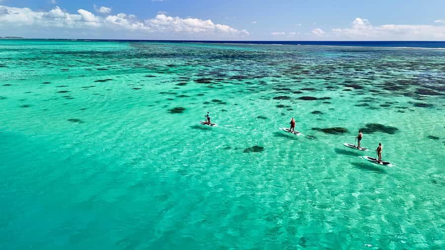E-Board private tour of Moorea lagoon - Key things you’ll notice on this Moorea E-Board tour
