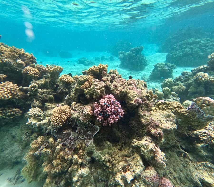 E-Board private tour of Moorea lagoon - FAQ