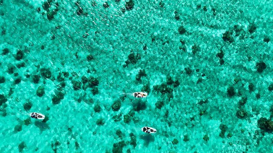 E-Board private tour of Moorea lagoon - Moorea lagoon by electric board: why the vibe is so different