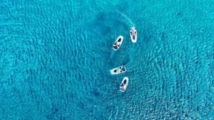 E-Board private tour of Moorea lagoon - Your 2-hour plan: cruising, snorkeling, and photo moments