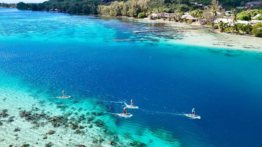 E-Board private tour of Moorea lagoon - Coral garden snorkeling: what you’ll realistically see