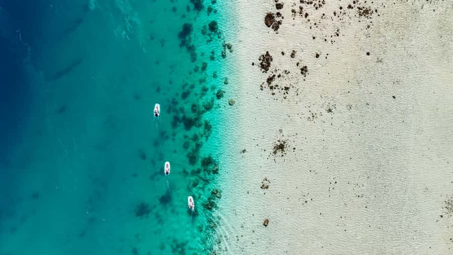 E-Board private tour of Moorea lagoon - Price and value: is $95 a good deal for 2 hours?