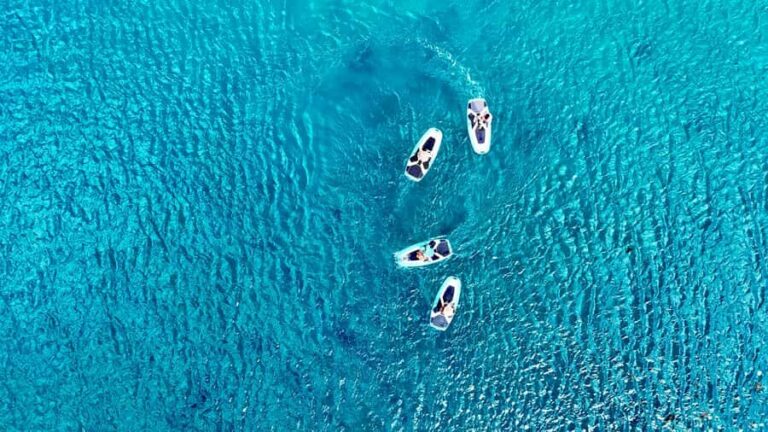 E-Board private tour of Moorea lagoon - Your 2-hour plan: cruising, snorkeling, and photo moments