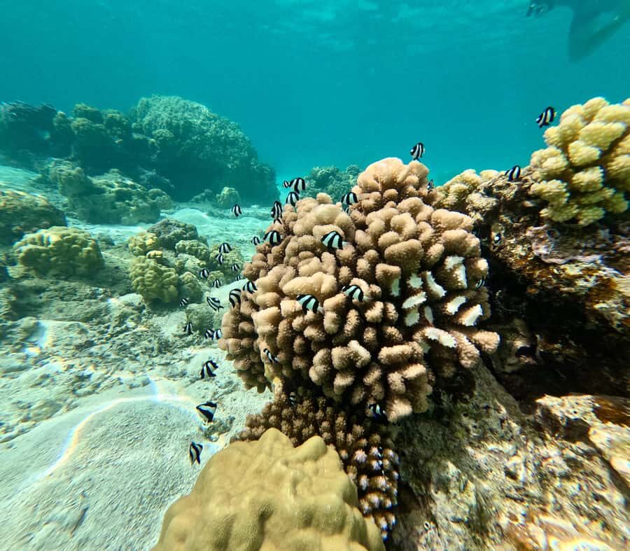 E-Board private tour of Moorea lagoon - What to bring (and what to leave behind) so your tour runs smoothly