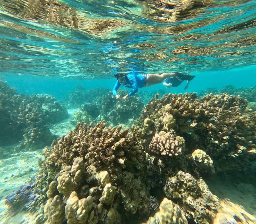 E-Board private tour of Moorea lagoon - Should you book this E-Board private lagoon tour?