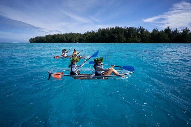 Eco guided excursion to the lagoon of Moorea in transparent kayak 1/2 day morning - Wildlife You’ll Actually See: Turtles, Rays, Sharks, and Reef Fish