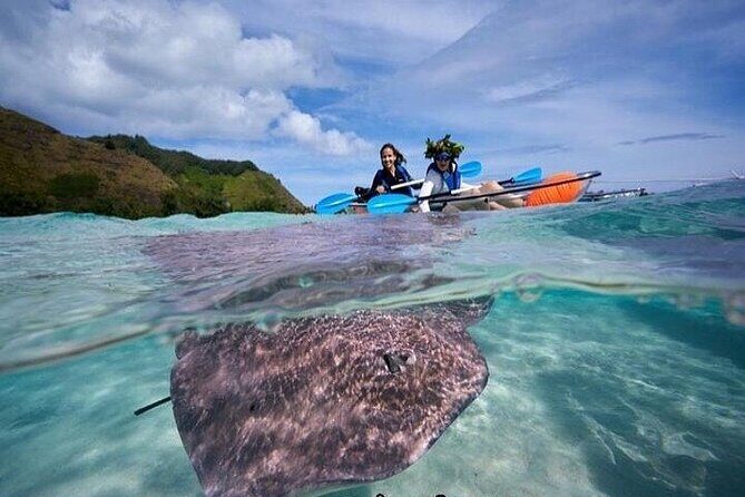 Eco guided excursion to the lagoon of Moorea in transparent kayak 1/2 day morning - Morning Logistics from Plage de Tiahura (and Why Early Starts Help)