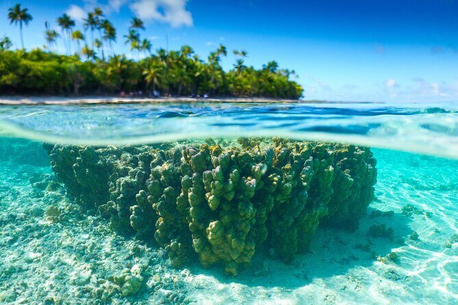 Excursion to Tetiaroa by Catamaran Visit Lunch Snorkeling - Key Points I’d Plan Around