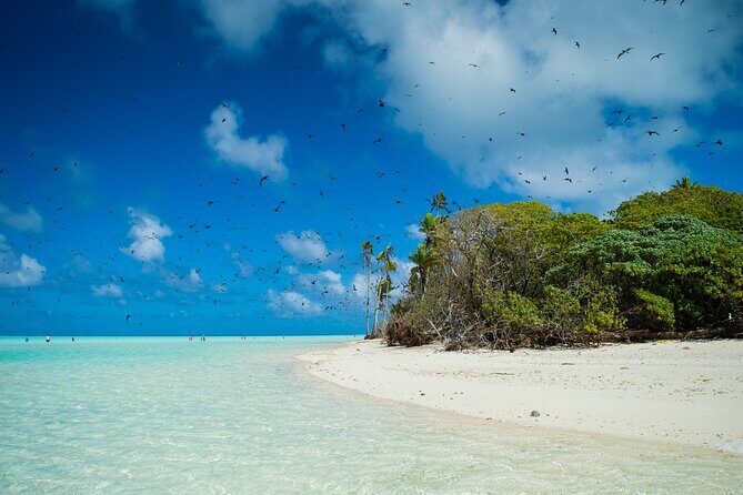 Excursion to Tetiaroa by Catamaran Visit Lunch Snorkeling - Price and Value: What $235.69 Buys You