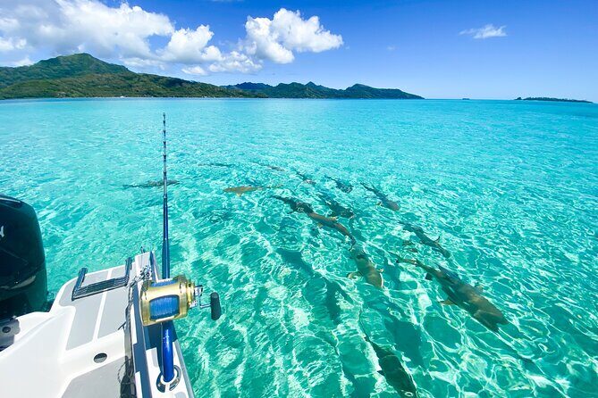 Exploration, Taha'a Lagoon Tour by Private Boat - Key highlights before you go