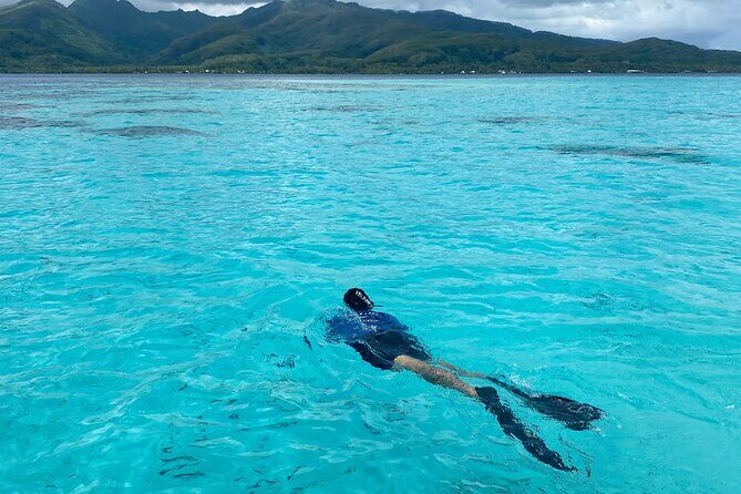 Exploration, Taha'a Lagoon Tour by Private Boat - Jardin de Corail: reef fish right at the water’s edge