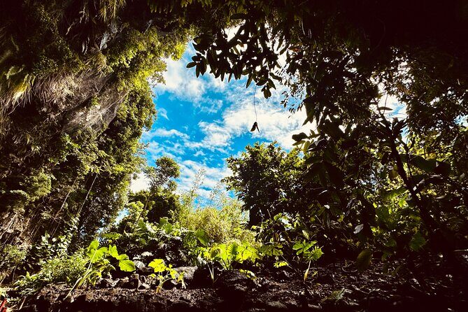 Explore Tahiti Nui, its landscapes and iconic sites. - Stop 1: Pointe Venus and Cook’s transit story by the black sand