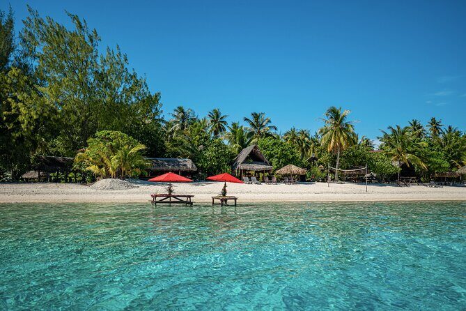 French Polynesia Snorkeling and 4X4 Adventure Tour with Buffet - Morning start at TiareMarket Bora-Bora: what to expect before you get wet