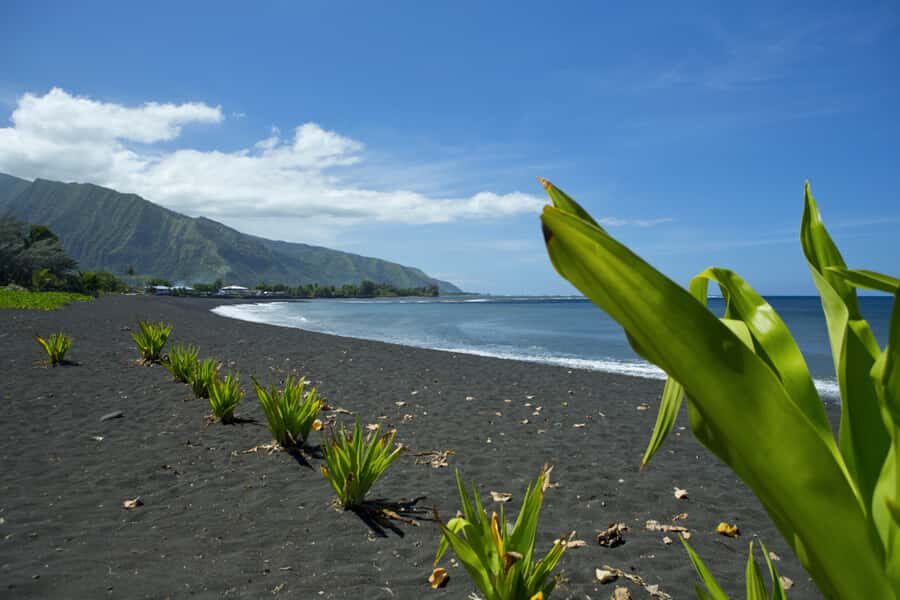 From Papeete: Tahiti Highlights Full-Day Private Tour - Taharuu black sand beach: the coast’s force, not just a photo op