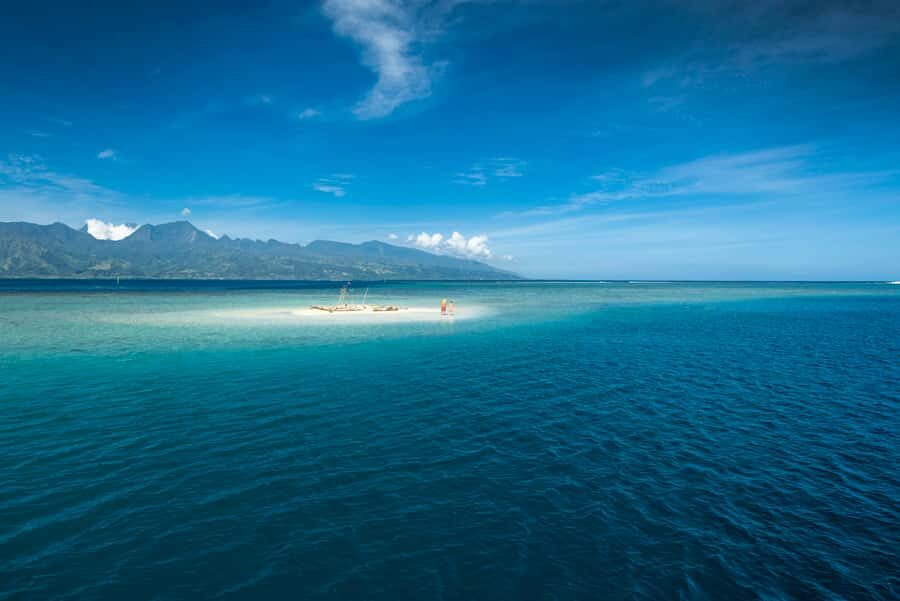 From Papeete: Tahiti Highlights Full-Day Private Tour - Vaipahi Water Gardens: plants, streams, and a calmer pace