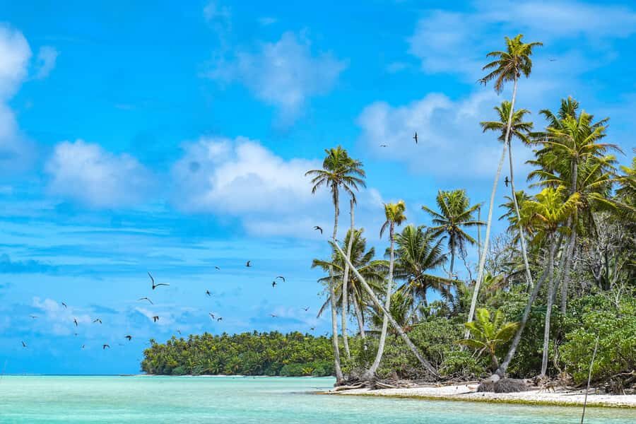 From Tahiti: Tetiaroa Island Tour by Sailing Catamaran - Key points to know before you go