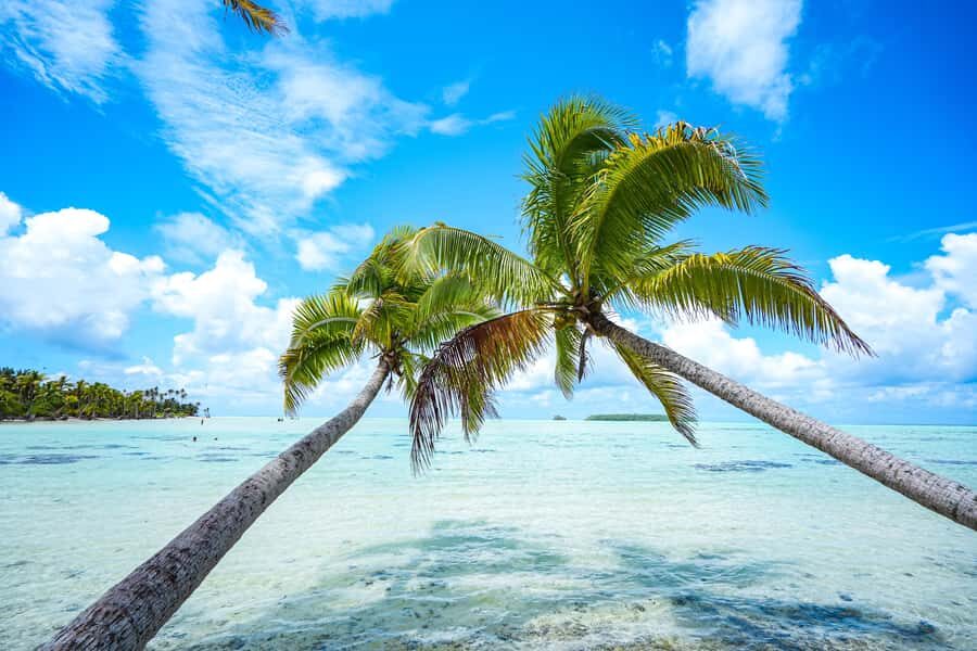 From Tahiti: Tetiaroa Island Tour by Sailing Catamaran - Why Tetiaroa from Tahiti feels special