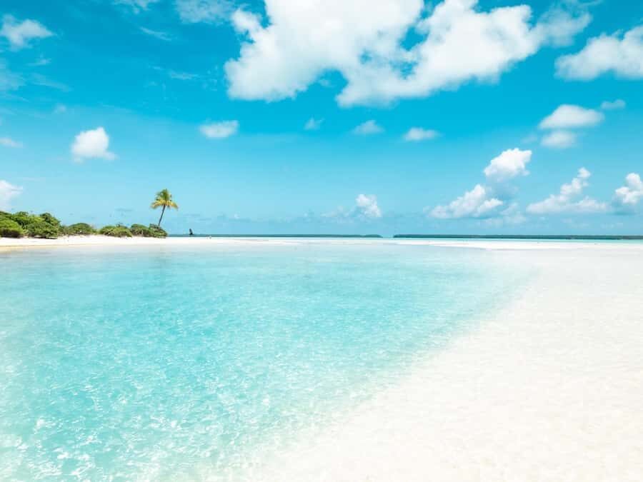 From Tahiti: Tetiaroa Island Tour by Sailing Catamaran - Snorkeling on the reef: equipment, timing, and expectations