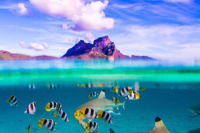 Full-Day Bora Bora Lagoon Cruise Including Snorkeling with Sharks and Stingrays - Key things worth knowing before you go