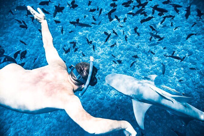 Full-Day Bora Bora Lagoon Cruise Including Snorkeling with Sharks and Stingrays - Gear and comfort: pack smart to avoid regret