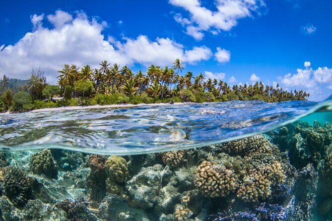 Full Day Lagoon Group Tour in Bora Bora with Lunch - Motu lunch with Otemanu views: eating where fish cruise by