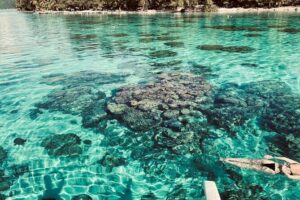 Full-day Lagoon Safari Tour with Lunch in Bora Bora - Shared tour - Stop-by-stop: why each lagoon stop is worth your time