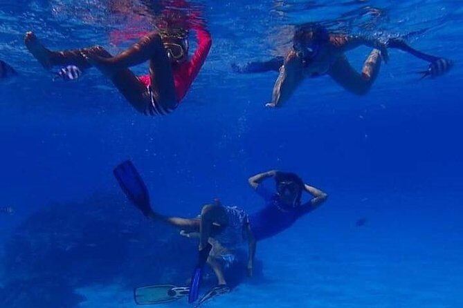 Full-Day Private Boat Tour of Bora Bora Lagoon with Snorkel - Meeting the boat at 8:30 and getting to the first snorkeling moment