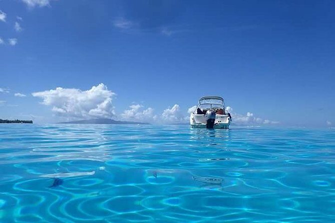 Full-Day Private Boat Tour of Bora Bora Lagoon with Snorkel - The boat setup: shade, comfort, and snorkel gear included