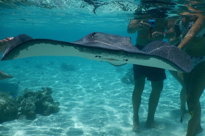 Grand Combo 3H00 of Jetski + 2H30 of Quad - The Jet Ski Block: 3 Hours in the Moorea Lagoon