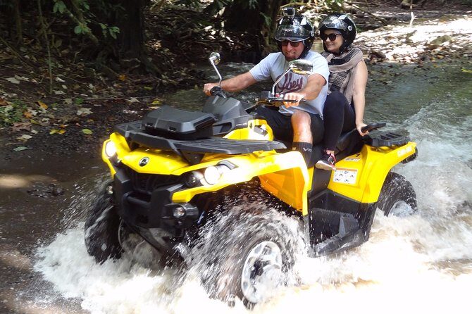 Grand Tour Quad Excursion in Moorea (Single or Two-Seater) - Belvedere Lookout: Two Bays and the Best Kind of Quick Pause