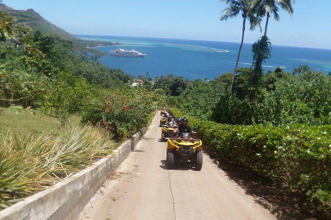 Grand Tour Quad Excursion in Moorea (Single or Two-Seater) - Fare Tutava: A Tasting Stop That Adds Real Variety