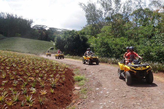 Grand Tour Quad Excursion in Moorea (Single or Two-Seater) - Timing and Logistics: A Half-Day That Works With Island Schedules