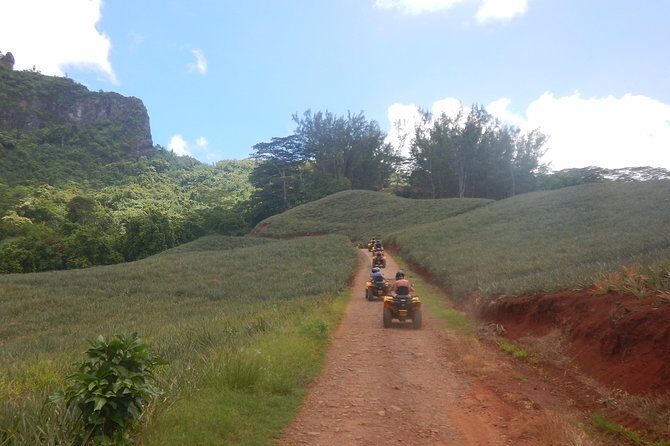 Grand Tour Quad Excursion in Moorea (Single or Two-Seater) - Safety and Riding Comfort: The Things You Can Control