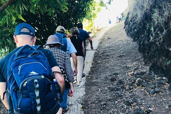 Guided Excursion in 4x4 in Moorea between Land and Sea - Opunohu Bay and the pineapple valley: eels, rivers, and legend