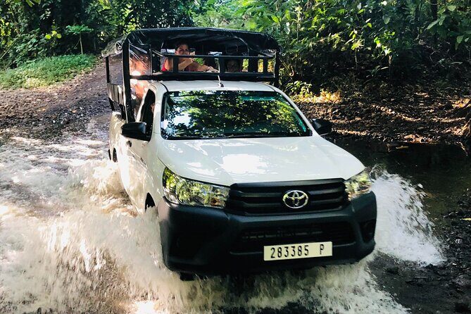 Guided Excursion in 4x4 in Moorea between Land and Sea - Moorea Tropical Garden: fauna, flowers, and a 360° food moment