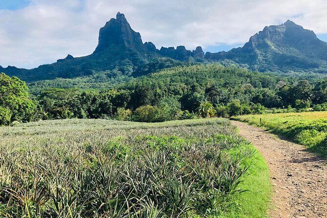 Guided Excursion in 4x4 in Moorea between Land and Sea - Moorea in 6 hours: how the land-to-sea route really works