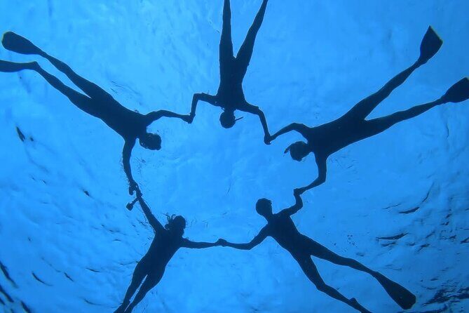 Guided Small Group Whale Watching and Swim Tour Tahiti - Price and Value: Is $238.07 Worth It?