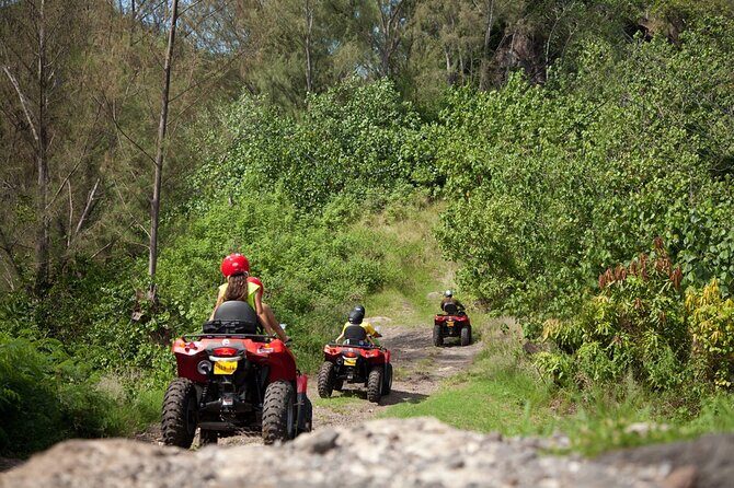 Guided Tour of Bora Bora by Quad - Stop 1: Anau viewpoint and the eastern reef view