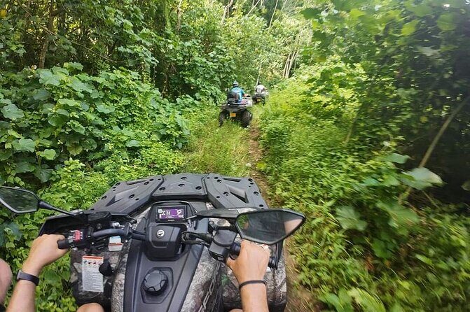 Guided tour of the island and its escapades in Tahaa by Quad / ATV - Price, Group Size, and What You’re Actually Paying For