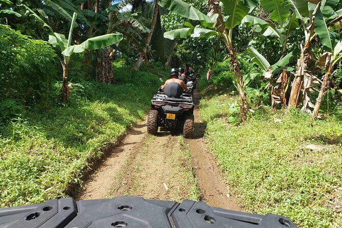 Guided tour of the island and its escapades in Tahaa by Quad / ATV - Marae Vaima’i Water Spring: Local History With a Sacred Anchor
