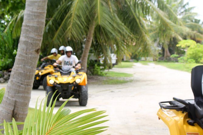 Guided tour of the island of Tahaa with Revanui Excursions - Stop 3: Ia Orana Pearl Farm and the Pearl-Making Process