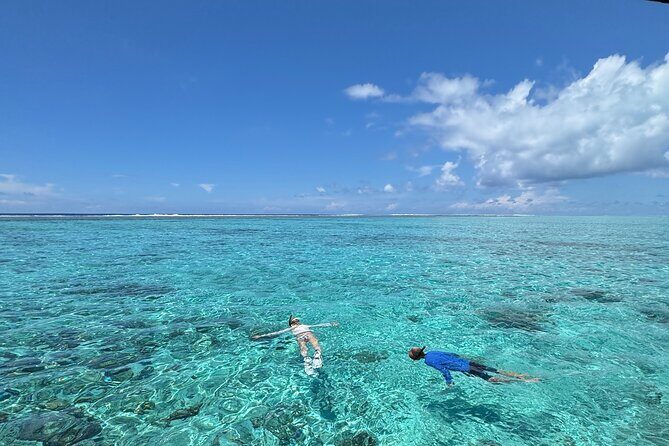Half day Eco Snorkeling small group Tour in Bora Bora - Key highlights from this Bora Bora lagoon snorkel tour