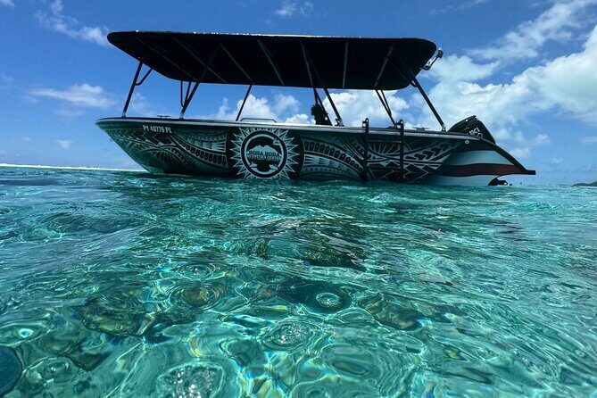 Half day Eco Snorkeling small group Tour in Bora Bora - Why this 3-hour lagoon snorkel tour feels like good value