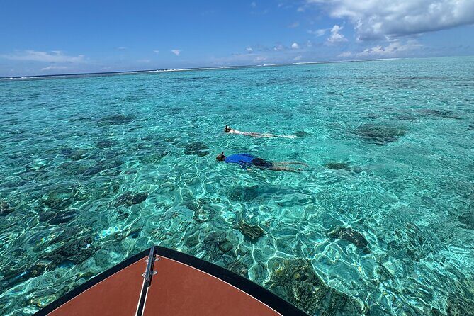 Half day Eco Snorkeling small group Tour in Bora Bora - Price and value: what $139.68 actually buys you