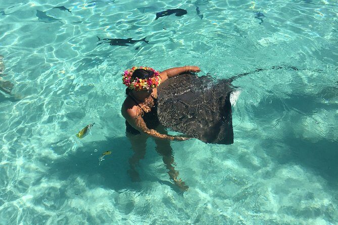 Half day Excursion, Drift Snorkeling Lagoon Adventure. 3H - Key Points Before You Go